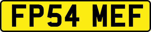 FP54MEF