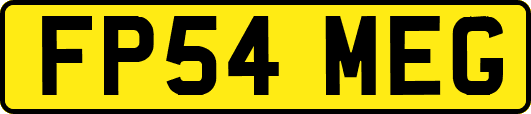 FP54MEG