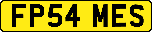 FP54MES