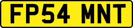 FP54MNT