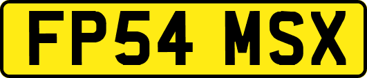 FP54MSX