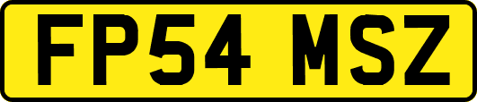 FP54MSZ