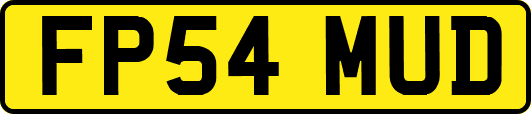 FP54MUD