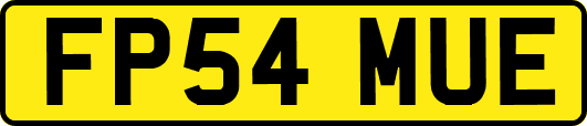 FP54MUE