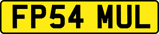FP54MUL
