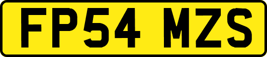FP54MZS