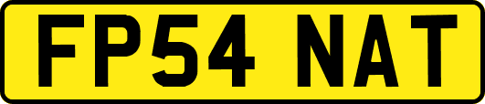 FP54NAT
