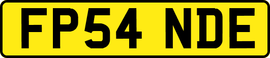 FP54NDE