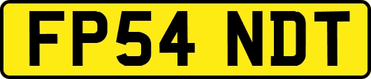 FP54NDT