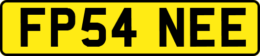 FP54NEE