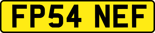 FP54NEF