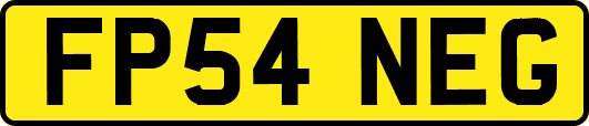 FP54NEG