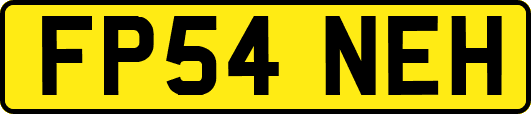 FP54NEH