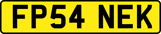 FP54NEK