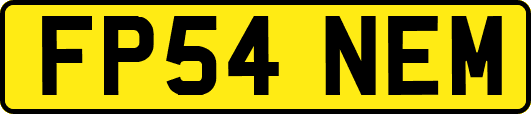 FP54NEM