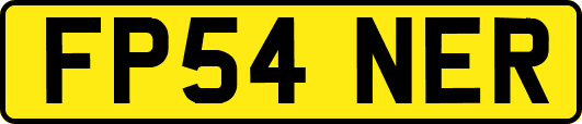 FP54NER