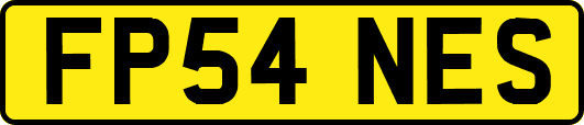 FP54NES