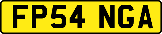 FP54NGA