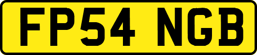 FP54NGB