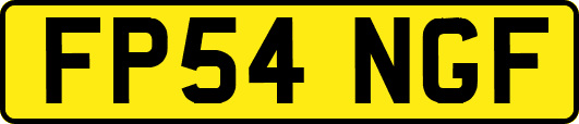 FP54NGF