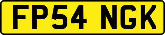 FP54NGK