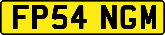 FP54NGM