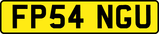 FP54NGU
