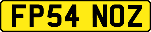 FP54NOZ