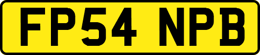 FP54NPB