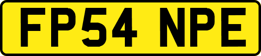 FP54NPE