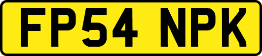 FP54NPK