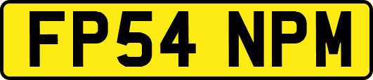 FP54NPM