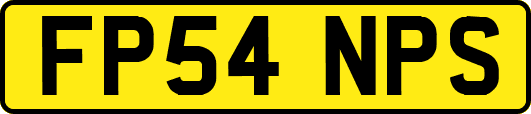 FP54NPS
