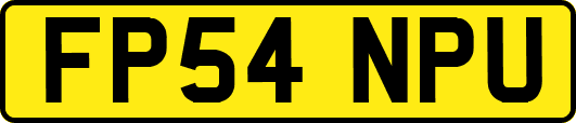 FP54NPU