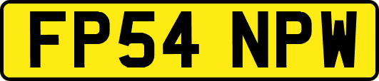 FP54NPW