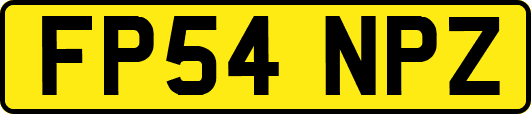 FP54NPZ