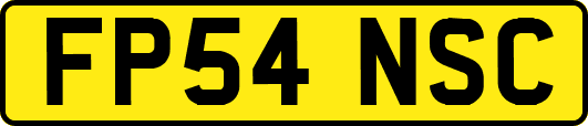FP54NSC