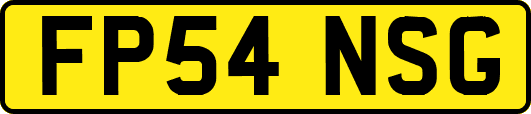 FP54NSG