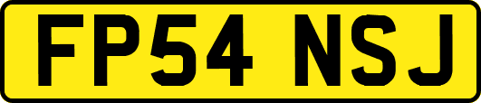 FP54NSJ