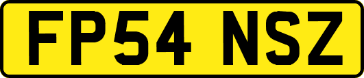 FP54NSZ