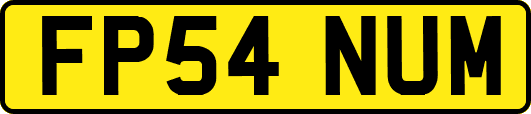 FP54NUM
