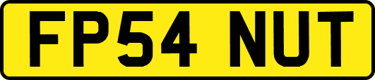 FP54NUT