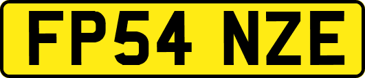 FP54NZE
