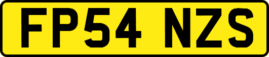 FP54NZS
