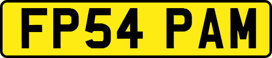 FP54PAM