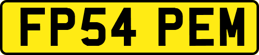 FP54PEM