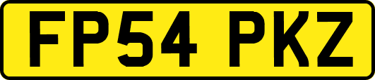 FP54PKZ