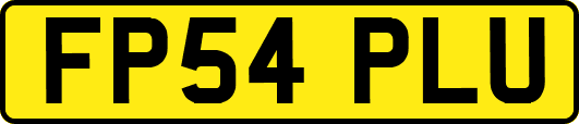 FP54PLU