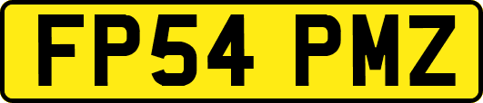 FP54PMZ