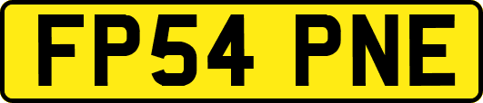 FP54PNE